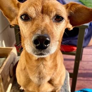 Meet your Posher, Lynnette